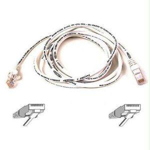 Belkin International Inc Ethernet 10base-t Cable - Rj-45 (m) - Rj-45 (m) - 1 Ft - White