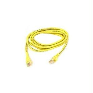 Belkin International Inc Patch Cable - Rj-45 - Male - Rj-45 - Male - Unshielded Twisted Pair (utp) - 30 F
