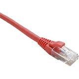 Unc Group Llc Unc Group 3ft Cat6 Non-booted Unshielded (utp) Ethernet Network Patch Cable Oran