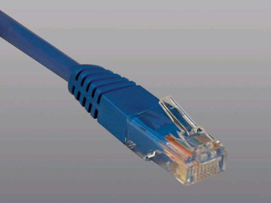 Tripp Lite 1ft Cat5e / Cat5  350mhz Molded Patch Cable Rj45 M/m Blue 1ft