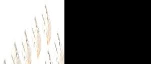 Belkin International Inc Rj45 Plug For Round Cable 10 Pack