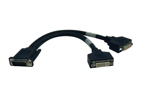 Tripp Lite 1ft Dual Dvi Splitter Cable Dms-59 M/fx2